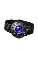 Wise Belt