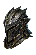 Elite Sentinel Hood