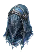 Transcendent Veil Hood