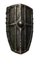 Fortified Rib Shield