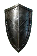 Steel Field Aegis